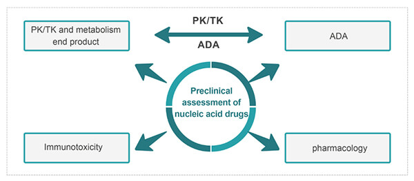 Nucleic acid drugs bioanalysis