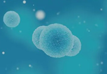細胞免疫治療薬の非臨床研究開発サービス